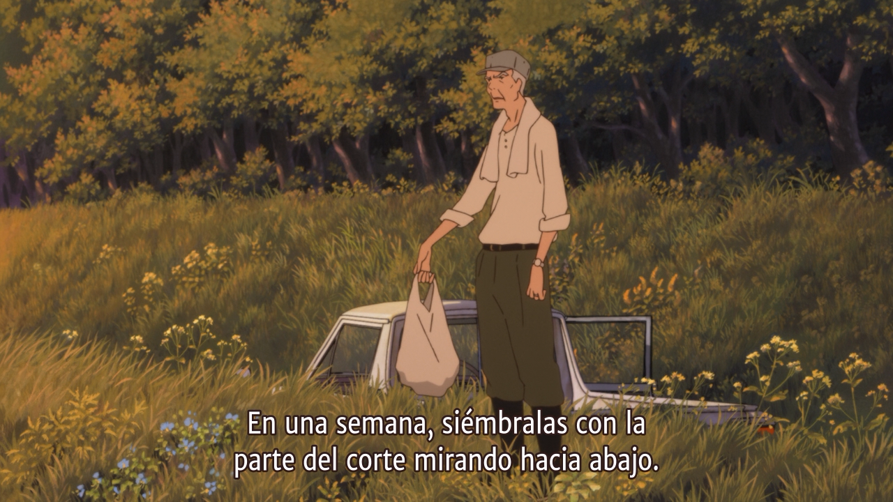 Ookami Kodomo no Ame to Yuki (TAOsubs)